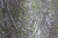 Hillam fibreglass roof work